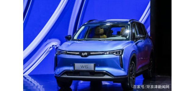 在2020中國品牌新車(chē)質(zhì)量排行榜中，威馬汽車(chē)位列前三