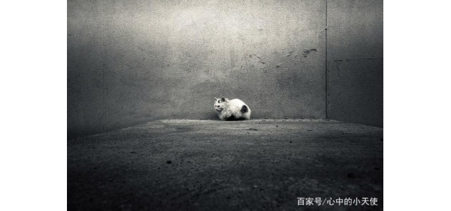 關(guān)于現代的「未來(lái)自閉癥」，專(zhuān)家怎么說(shuō)？