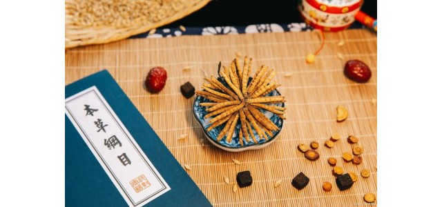 中藥第一民族品牌，股價(jià)從163元跌到53元，曾經(jīng)的龍頭還能漲嗎？